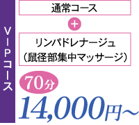 VIPコース 70分 14,000円〜